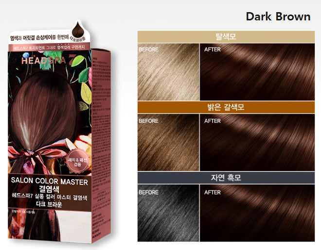 [Headspa7] Salon Color Master Hair Dye 126g x 2