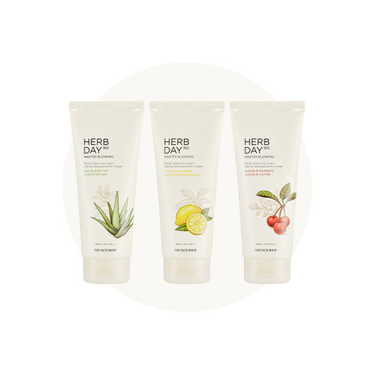 [The Face Shop] Herb Day 365 Master Blending Facial Cleansing Foam 170mL